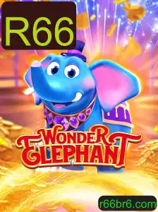 Descubra o Fascinante Mundo de WonderElephant com a Chave R66